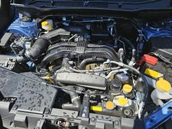 2024 Subaru Forester 2.5i-L S5 MY24 AWD Horizon Blue