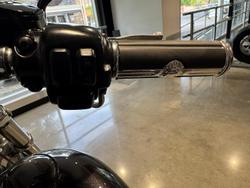 2004 Harley-Davidson Softail Standard 1450 (FXST) Softail Grey