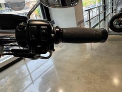 2009 Harley-Davidson Softail Standard 1584 EFI (FXSTI) Softail