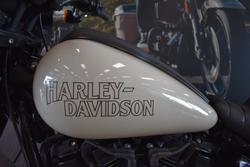 2023 HARLEY-DAVIDSON FXLRS LOW RIDER S (117)