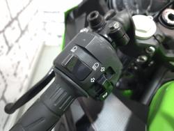 2019 Kawasaki Ninja 400 (EX400G) Ninja Green