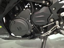 2019 Kawasaki Ninja 400 (EX400G) Ninja Green