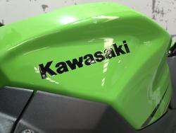 2019 Kawasaki Ninja 400 (EX400G) Ninja Green