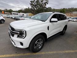 2025 Ford Everest Trend