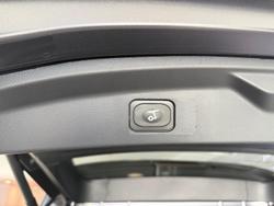 2025 Ford Everest Trend