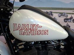 2026 HARLEY-DAVIDSON FXLRS LOW RIDER S (117)