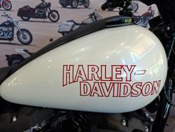 2026 HARLEY-DAVIDSON FXLRS LOW RIDER S (117)