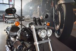 2013 HARLEY-DAVIDSON FXDF FAT BOB
