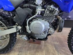 2023 Yamaha TTR125LWE BLUE