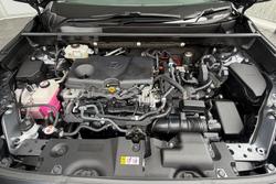 2021 Toyota RAV4 Cruiser