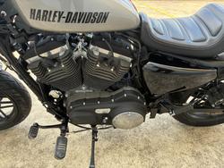 2018 HARLEY-DAVIDSON XL1200CX ROADSTER SOLID Silver