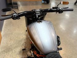 2021 HARLEY-DAVIDSON FXBRS BREAKOUT (114)