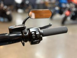 2021 HARLEY-DAVIDSON FXBRS BREAKOUT (114)