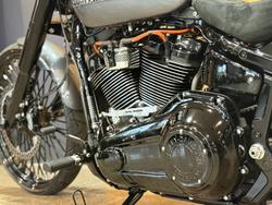 2021 HARLEY-DAVIDSON FXBRS BREAKOUT (114)