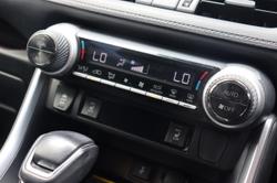 2020 Toyota RAV4 Cruiser