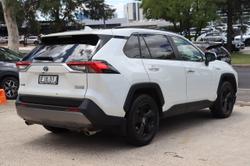 2020 Toyota RAV4 Cruiser