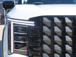 2025 LDV Terron 9 Evolve