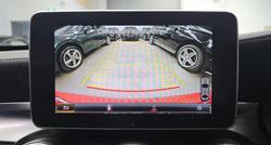 2015 Mercedes-Benz C-Class C250 W205 Hyacinth Red