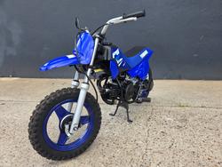 2025 Yamaha 2025 Yamaha 50CC PW50 (PEE-WEE) Minibike BLUE