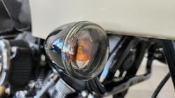 2023 Harley-Davidson Low Rider ST 117 (FXLRST) Softail Beige