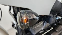 2023 Harley-Davidson Low Rider ST 117 (FXLRST) Softail Beige