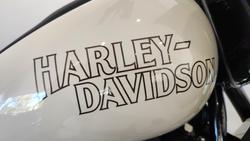 2023 Harley-Davidson Low Rider ST 117 (FXLRST) Softail Beige