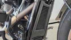 2023 Harley-Davidson Low Rider ST 117 (FXLRST) Softail Beige