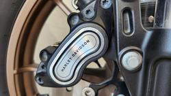 2023 Harley-Davidson Low Rider ST 117 (FXLRST) Softail Beige