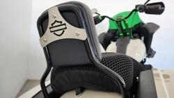 2023 Harley-Davidson Low Rider ST 117 (FXLRST) Softail Beige