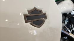 2023 Harley-Davidson Low Rider ST 117 (FXLRST) Softail Beige