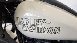 2023 Harley-Davidson Low Rider ST 117 (FXLRST) Softail Beige