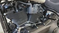 2023 Harley-Davidson Low Rider ST 117 (FXLRST) Softail Beige