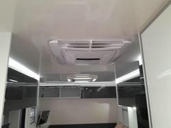 2025 Windsor Genesis 196Md Wild 19'6