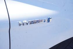 2019 Toyota Camry Ascent Sport