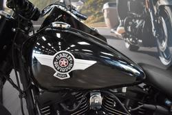 2017 HARLEY-DAVIDSON FLSTFBS FAT BOY S