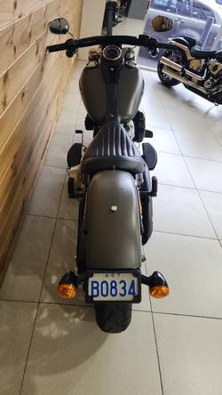 2018 HARLEY-DAVIDSON FLSL SOFTAIL SLIM