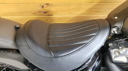 2018 HARLEY-DAVIDSON FLSL SOFTAIL SLIM