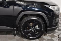 2020 Toyota RAV4 Cruiser