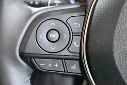 2020 Toyota RAV4 Cruiser