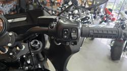 2025 Harley-Davidson Low Rider ST 117 (FXLRST) Softail