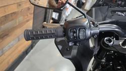 2025 Harley-Davidson Low Rider ST 117 (FXLRST) Softail