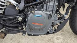 2021 Ktm 390 DUKE White