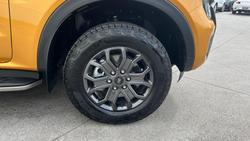 2024 Ford Ranger Wildtrak