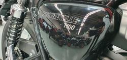 2025 Triumph Bonneville T100 (900cc) Bonneville Orange