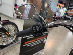 2021 Harley-Davidson Slim 107 (FLSL) Softail Maroon