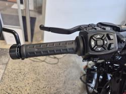 2025 Harley-Davidson Nightster (RH975) Sportster Orange