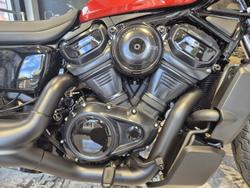 2025 Harley-Davidson Nightster (RH975) Sportster Orange