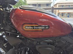 2025 Harley-Davidson Nightster (RH975) Sportster Orange