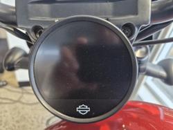 2025 Harley-Davidson Nightster (RH975) Sportster Orange