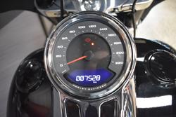 2020 HARLEY-DAVIDSON FLSB SPORT GLIDE